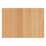 SAMOLEPILNA TAPETA D-C-FIX 45CMX15M LES-BUKEV MEDIUM F2002608