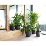 PE NOTRANJI LONEC SAN REMO GLOSSY ANTRACIT 25 CM