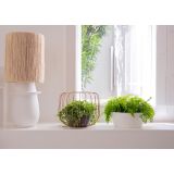 PE NOTRANJI LONEC SAN REMO GLOSSY SKLEDA BELA 32CM