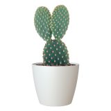 PE NOTRANJI LONEC SAN REMO MAT BEL 42CM