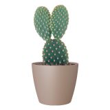 PE NOTRANJI LONEC SAN REMO MAT TAUPE 16CM