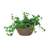 PE NOTRANJI LONEC SAN REMO SKLEDA TAUPE 32 CM