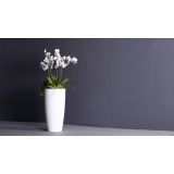 PE NOTRANJI LONEC SANTORINI VISOK BEL 78CM