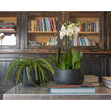 KERAMIČNI NOTRANJI LONEC SELENE 20 CM ČRN