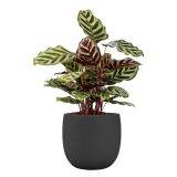 KERAMIČNI NOTRANJI LONEC SELENE 25 CM ČRN