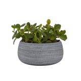 KERAMIČNI NOTRANJI LONEC SELENE 29 CM SIV