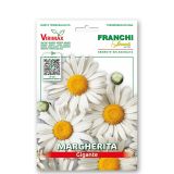 SEME CVETOČE RASTLINE FRANCHI SEMENTI MARJETICA VELIKOCVETNA VXF 336/1