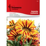 SEME CVETOČE RASTLINE SEMENARNA GAZANIJA MEŠANICA 3470
