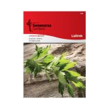 SEME DIŠAVNICE SEMENARNA LUŠTREK 1096