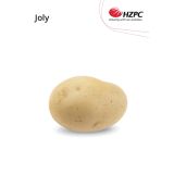 SEME KROMPIRJA JOLY 2.5 KG