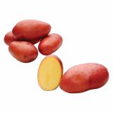 SEME KROMPIRJA SEMENARNA ROSARA 3 KG