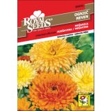OGNJIČ ROYAL SEEDS MEŠ. 32