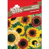 SEMENA CVETOČIH RASTLIN ROYAL SEEDS SONČNICA TZ NIZKA 98