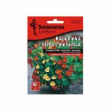 KAPUCINKA SEMENARNA MEŠANICA V MALI VREČICI 5515