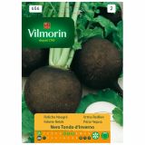 KORENOVKA VILMORIN ČRNA REDKEV NERO TONDO D'INVERNO