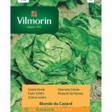 SEMENA CVETOČIH RASTLIN VILMORIN GLAVNATA SOLATA BLONDE DU CAZARD