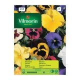 SEMENA CVETOČIH RASTLIN VILMORIN MAČEHA MIX