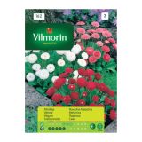 SEMENA CVETOČIH RASTLIN VILMORIN NAVADNA MARJETICA MEŠANICA