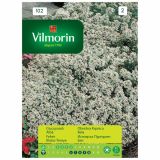 SEMENA CVETOČIH RASTLIN VILMORIN OBREŽNA KRPNICA BELA