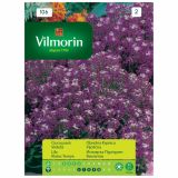 SEMENA CVETOČIH RASTLIN VILMORIN OBREŽNA KRPNICA VIJOLIČNA
