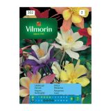 OGNJIČ VILMORIN ORLICA MEŠANICA