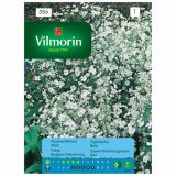 SEME CVETOČE RASTLINE VILMORIN PAJČOLANKA BELA