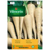 KORENOVKA VILMORIN PASTINAK