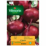 KORENOVKA VILMORIN RDEČA PESA D'EGYPTE