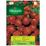 SEMENA CVETOČIH RASTLIN VILMORIN RJAVKASTA ŽAMETNICA RDEČA