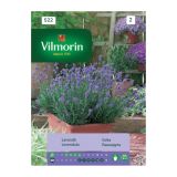 SEME DIŠAVNICE VILMORIN SIVKA