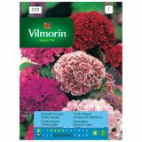 ASTRA VILMORIN TURŠKI NAGELJ DVOBARVNA MEŠANICA