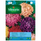 ASTRA VILMORIN VRTNA MEŠANICA LEPOTA