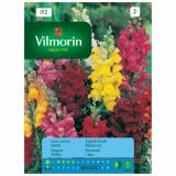 SEMENA CVETOČIH RASTLIN VILMORIN ZAJČEK VISOK MEŠANICA