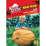 BUČA ATLANTIC GIANT