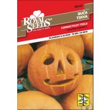 PLODOVKA ROYAL SEEDS BUČA CONNECTICUT F. 167