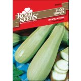 PLODOVKA ROYAL SEEDS BUČKA INDATLAN F 152
