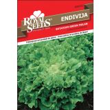 LISTNA ZELENJAVA ROYAL SEEDS ENDIVIJA MALAN 223