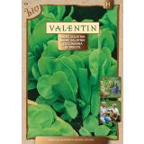 LISTNA ZELENJAVA SEMENARNA RADIČ TRŽAŠKI SOLATNIK BIO