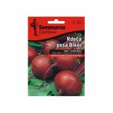 KORENOVKA SEMENARNA RDEČA PESA BIKOR V MALI VREČICI 262
