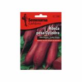 KORENOVKA SEMENARNA RDEČA PESA CYLINDRA V MALI VREČICI 266