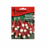 KORENOVKA SEMENARNA REDKVICA LANQUETTE V MALI VREČICI