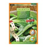 SEMENA SEMENARNA SMART MOTOVILEC M.V. 447