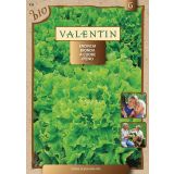 SEMENA VALENTIN ENDIVIJA ESKARIOL RUMENA 430 BIO
