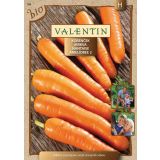 KORENOVKA VALENTIN KORENČEK NANTES BIO