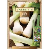 SEMENA VALENTIN POR CARENTAN