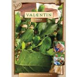 SEMENA VALENTIN RUKOLA BIO