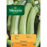 PLODOVKA VILMORIN BUČKA GENOVESE