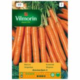 KORENOVKA VILMORIN KORENČEK AMSTERDAM 3