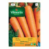 KORENOVKA VILMORIN KORENČEK BERLIKUMER 2