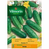 SEMENA VILMORIN KUMARA ALADYN F1